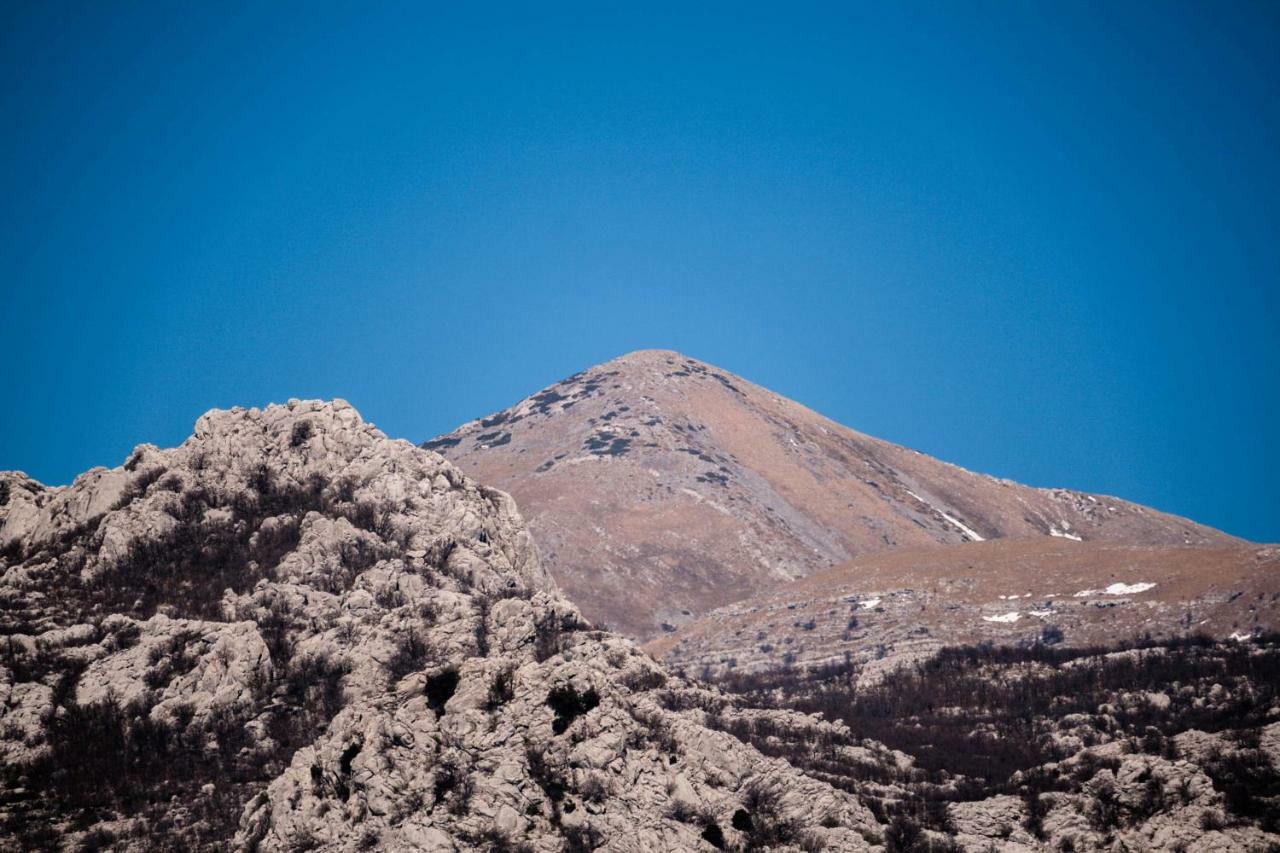 Boreas ยาเซนิเซ ภายนอก รูปภาพ